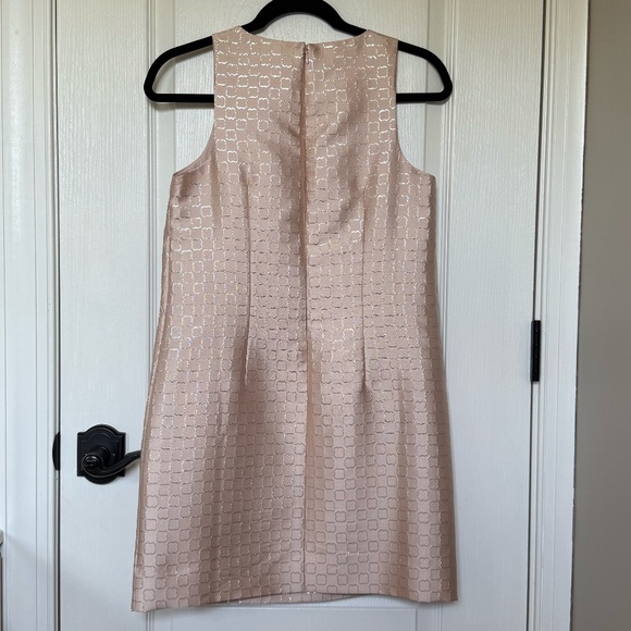 Ann Taylor, Shift Dress & Teardrop Earrings, Pink & Gold - Picture 2 of 9